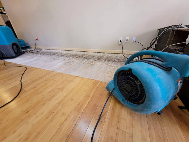 Professional Structural Drying technician working in Kingston, MO